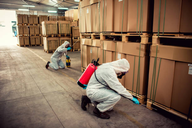 Best Pest Inspection Near Me  in Blackville, SC
