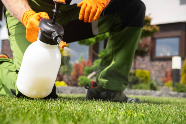 Best Insect Control  in Blackville, SC
