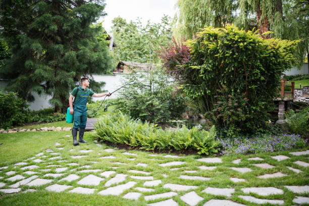 Best Affordable Pest Control Services  in Blackville, SC