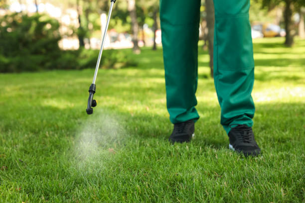 Best Termite Control Services  in Blackville, SC