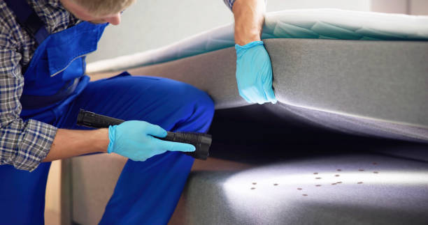 Best Flea Control Services  in Blackville, SC
