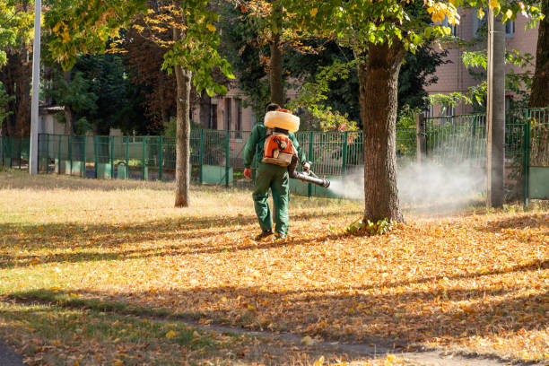 Pest Prevention Services in Blackville, SC
