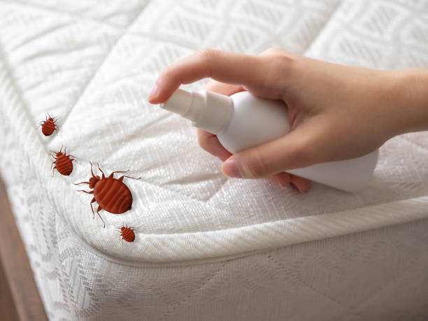 Pest Control Cost in Blackville, SC