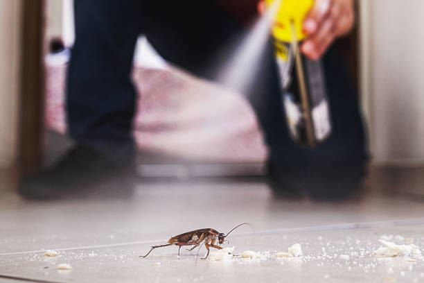 Best Affordable Pest Control Services  in Blackville, SC